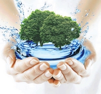 Чистая вода – лекарство от многих недугов